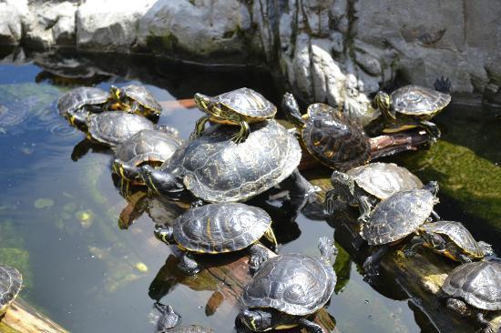 Sea Life Blankenberge